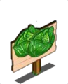 Mastery Cabbage