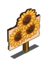 Mastery Sunflowers