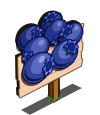Mastery Blue berries