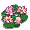 Lotus-icon