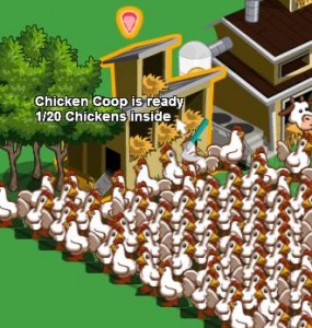 Invasione di galline