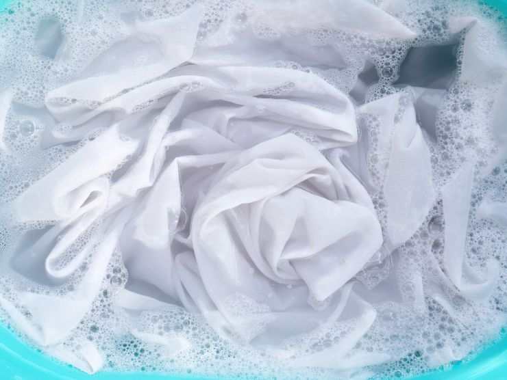 capi in ammollo nella bacinella