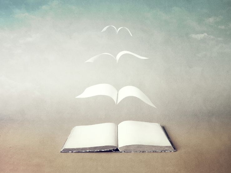 concetto astratto di libro che vola